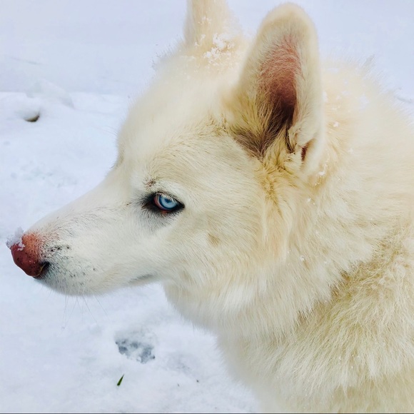 Meet your Posher, Karen - Picture 14 of 16